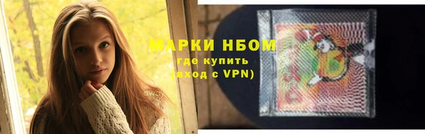 хмурый Алексин