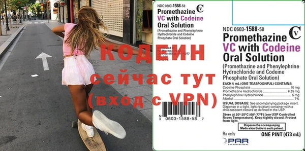 хмурый Алексин