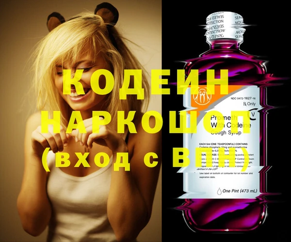 хмурый Алексин