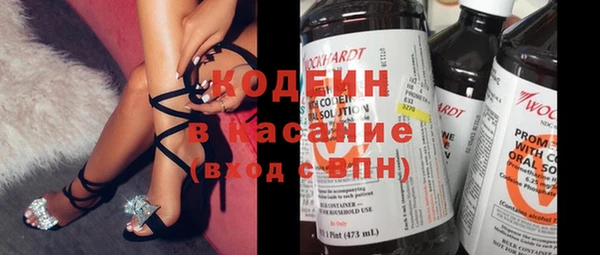 хмурый Алексин