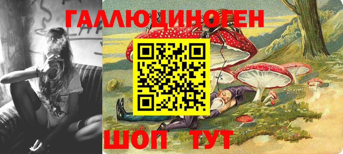 Псилоцибиновые грибы Psilocybine cubensis Ленинск-Кузнецкий